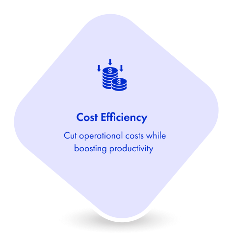 Cost Efficiency